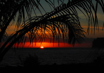 为什么越来越多的人要低糖饮食？_1