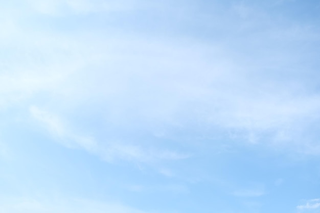 中医对胆的论述